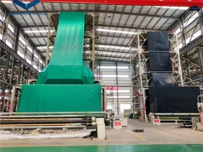 HDPE LDPE LLDPE PVC Geomenbrana Geomembrane图3