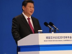 中国国际发展知识中心举办的“一带一路”国家智库人才培养  研修班塞尔维亚学员积极参与欢迎习近平主席访塞