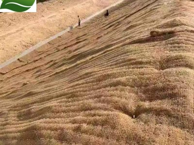 植物纤维毯图3