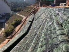 玻纤土工格栅路面加筋施工方便好运输