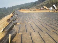 单向拉伸塑料土工格栅常用材质PP聚丙烯的各种报价