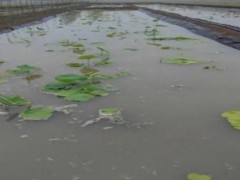 养殖防渗膜的具体施工流程