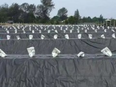200g土工膜：高效防护与工程应用的新选择