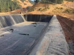 农业灌溉池防渗膜 蓄水池土工膜