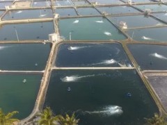 鱼塘及水产养殖水池防渗土工膜用途
