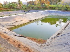 果园抗旱蓄水用储水池防渗土工膜